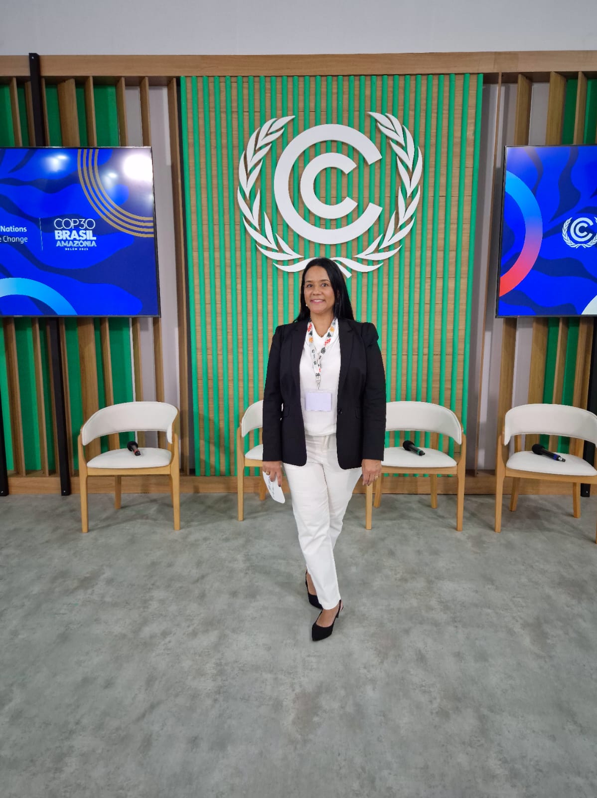 Preparativos para o Seminário da RBB na COP30