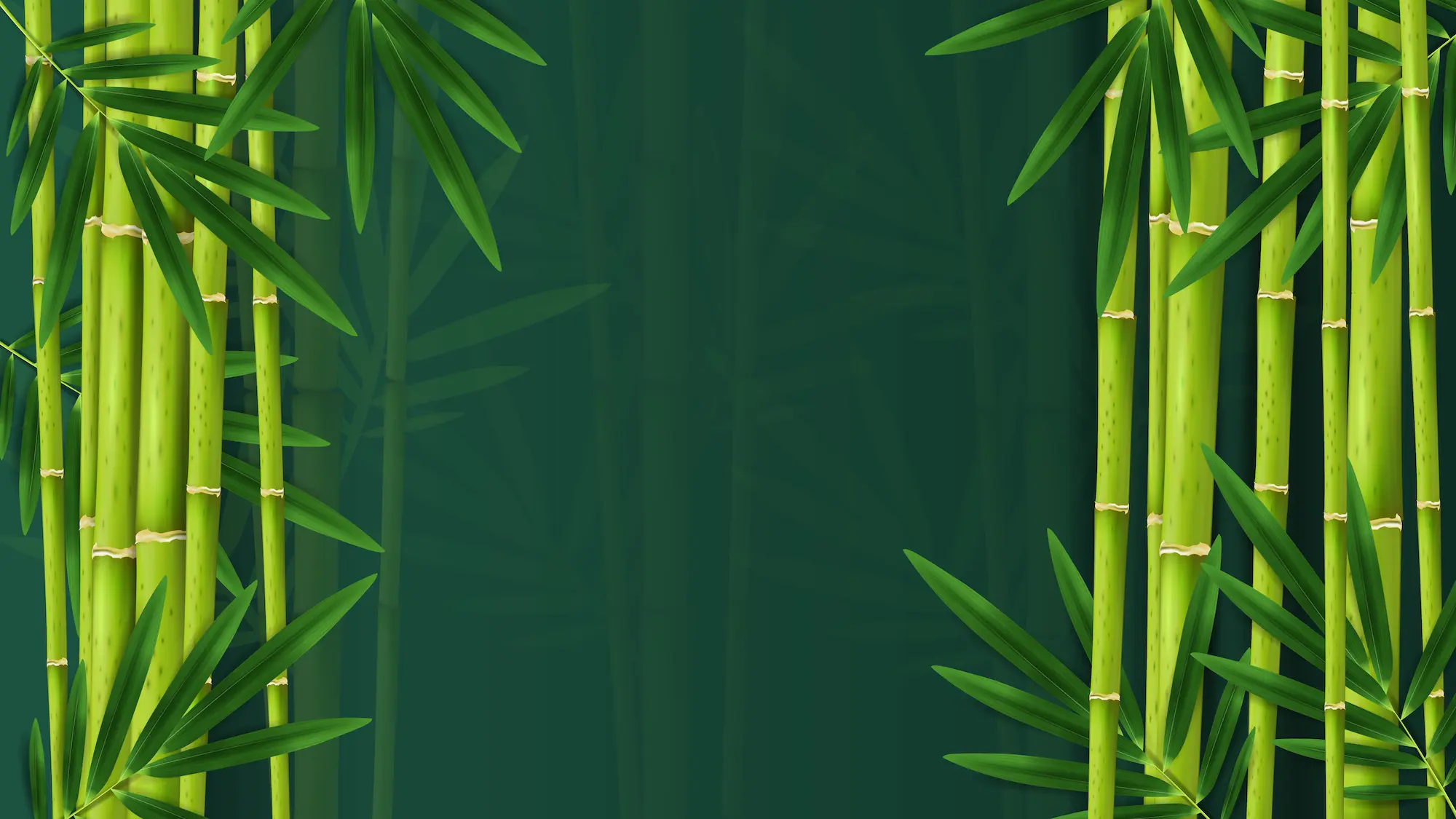 Bambu na Amazônia